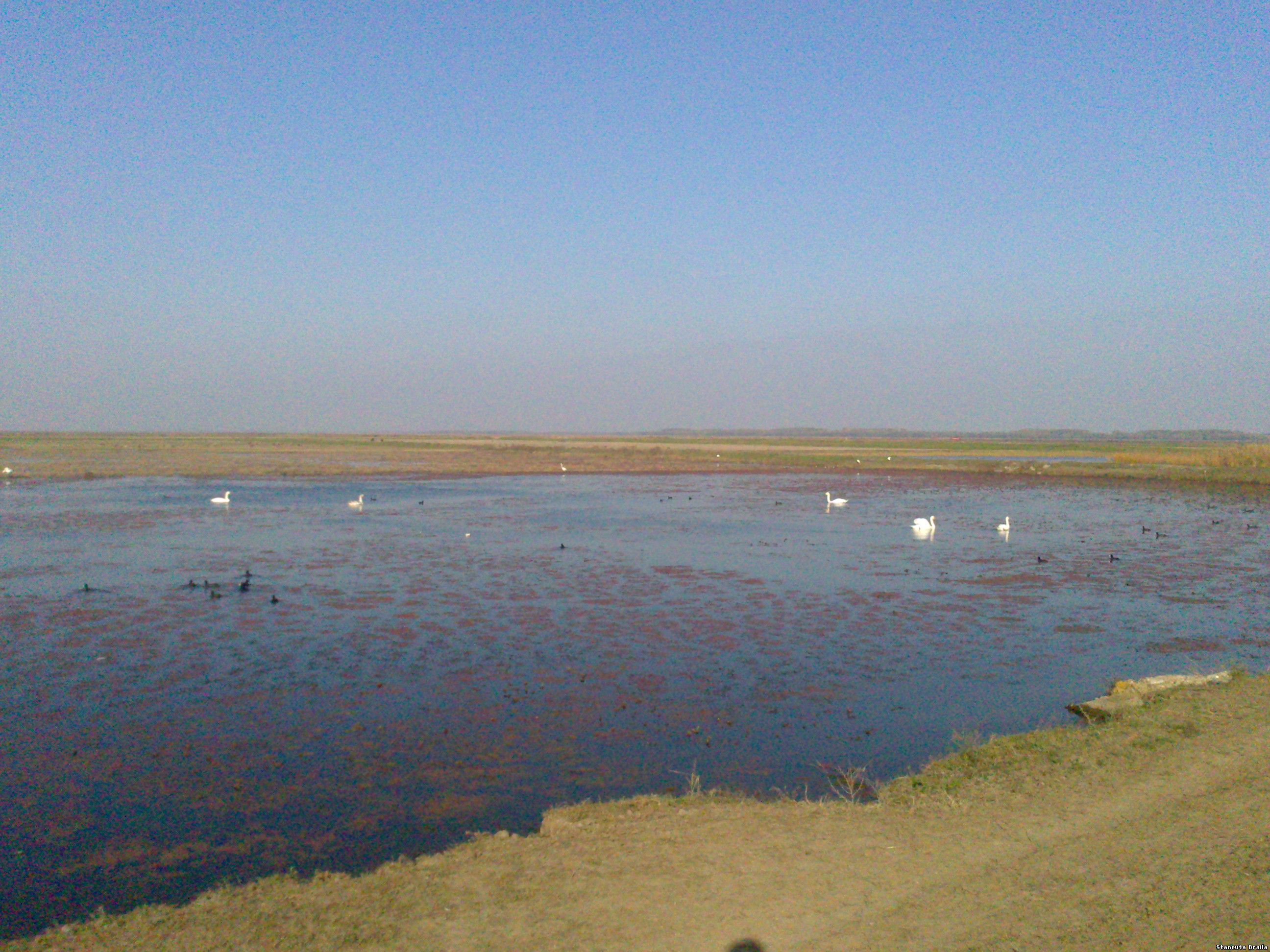 DSC_0005.jpg